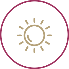 Ícone Climatério e Menopausa
