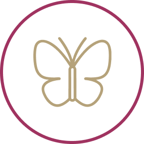 Ícone Labioplastia